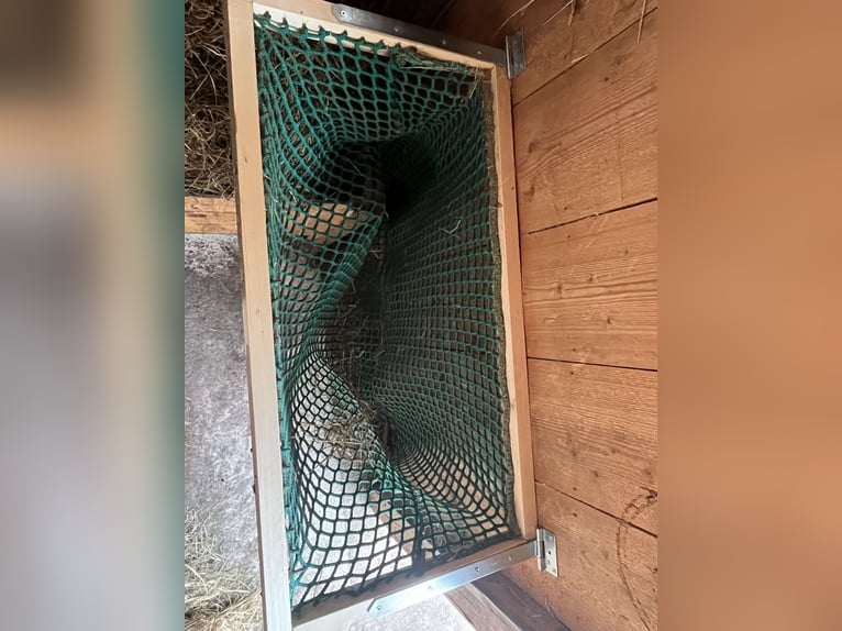 Reti per pareti in crine di cavallo