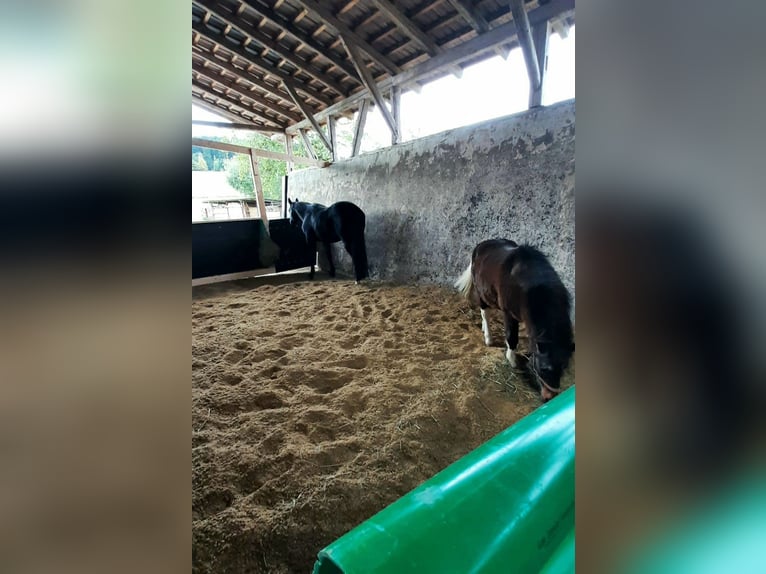 Pellet di paglia regionali, pellet per il letto, cubi di paglia, premiscelati, pellet strutturali, p