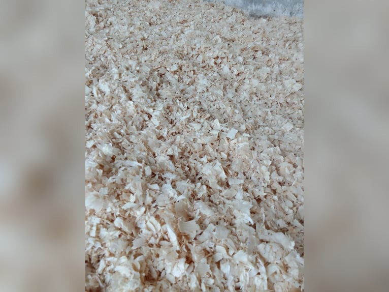Lettiera in truciolo di abete bianco