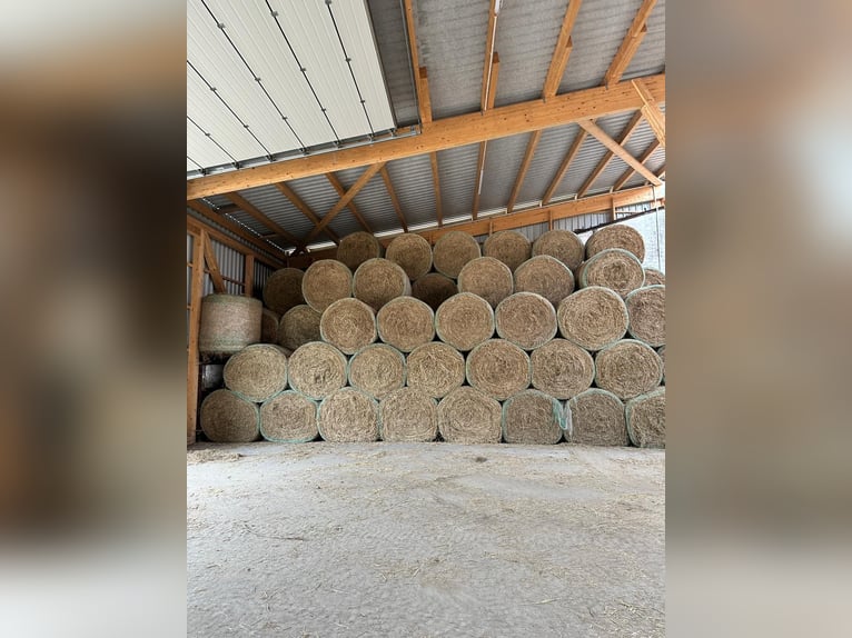 Heurundballen 2025 Heurundballen 2025