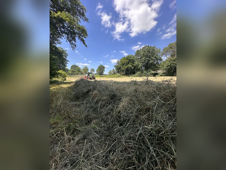 Heurundballen 2025 Heurundballen 2025
