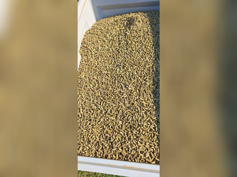 Luzernecobs in vendita – integrazione ottimale di fieno (quantità totale circa 600 kg, anche piccole