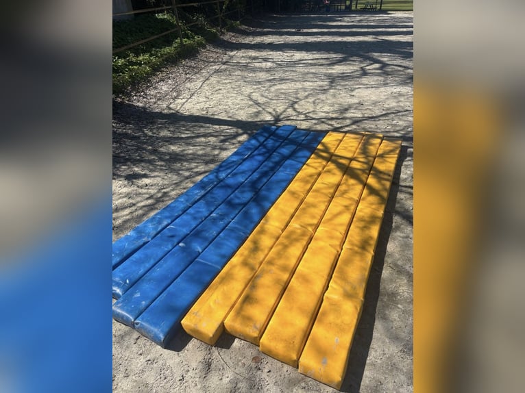 Doppelte Zügel