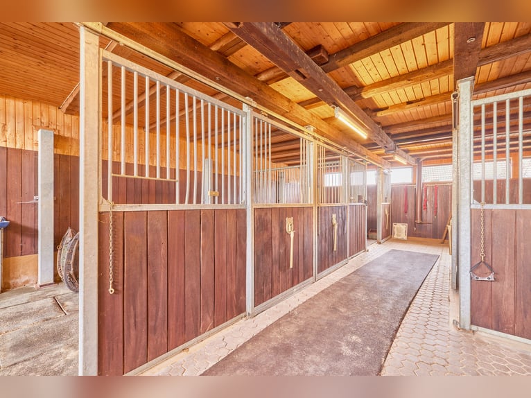 RESERVIERT! Komfortables Wohnen mit den Pferden – Immobilie zur Privatpferdehaltung in Bayern!