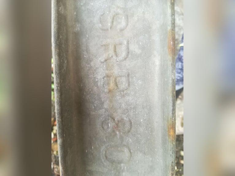 8 Doppel-T-Träger (Umbau/Neubau) 