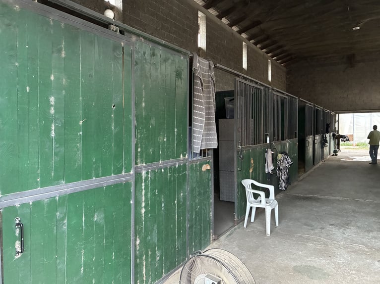 Box in fila per interni