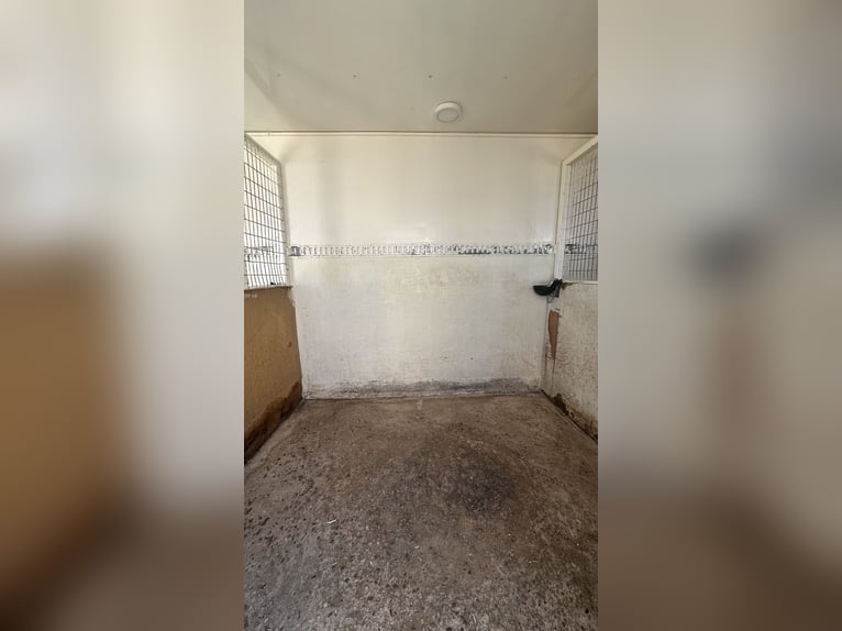Cuadras portátiles con 8 cuadras y guadarnés