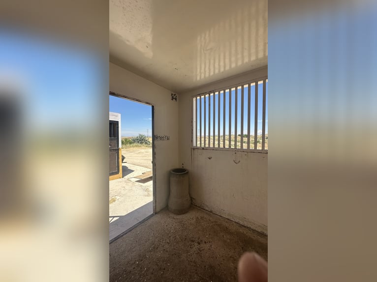 Cuadras portátiles con 8 cuadras y guadarnés