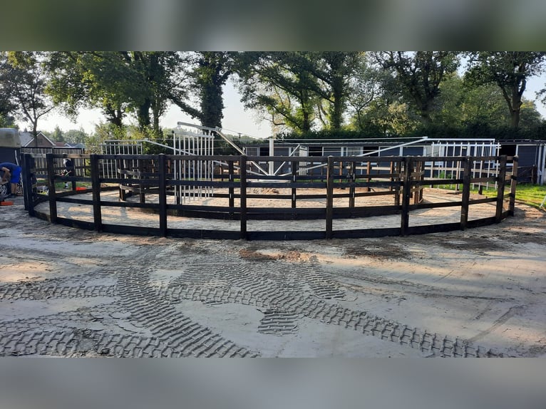 Pista di allenamento, camminatore per cavalli, Caminador para caballos, stapmolen, marcheur de cheva