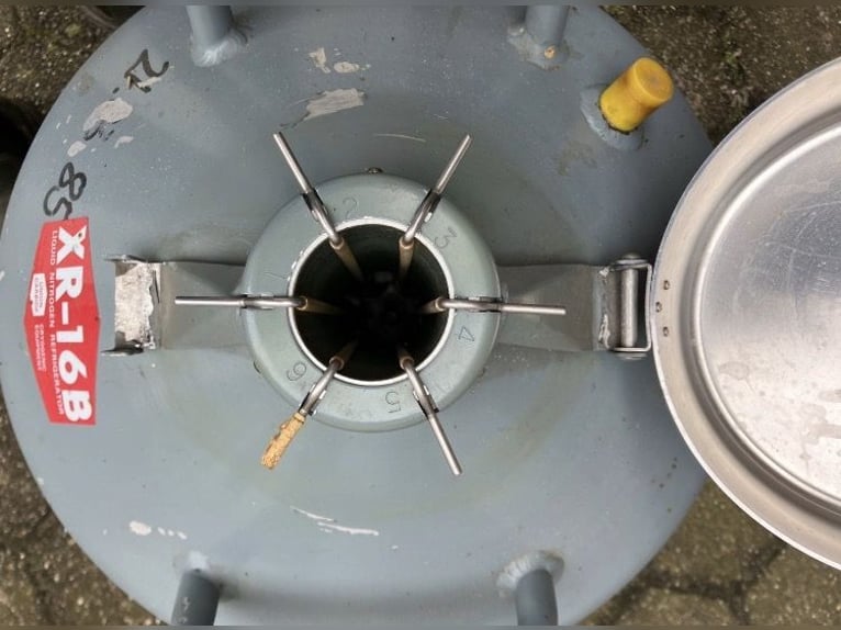 Stickstoffcontainer zur Lagerung von TG-Samen