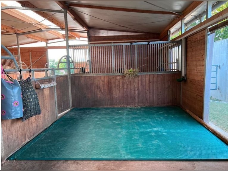 Tappetini da box EVA da 44 mm!, direttamente dall'importatore, il miglior prezzo in Germania e Austr