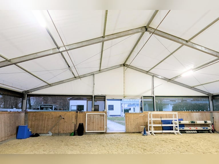 Tenda da circo 15x30 m da vendere come tenda per equitazione, magazzino o spazio per eventi.