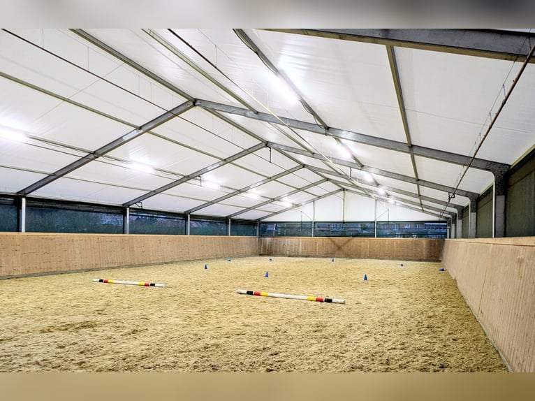 Tenda da circo 15x30 m da vendere come tenda per equitazione, magazzino o spazio per eventi.