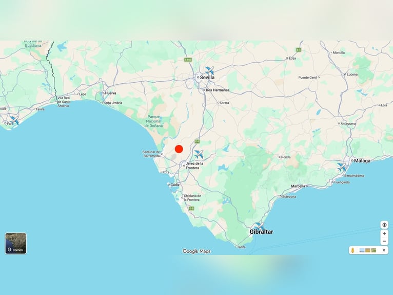Andalusia e i suoi meravigliosi cavalli - Jerez de la Frontera