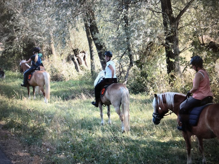 cross-country courses for beginner in Bavaria