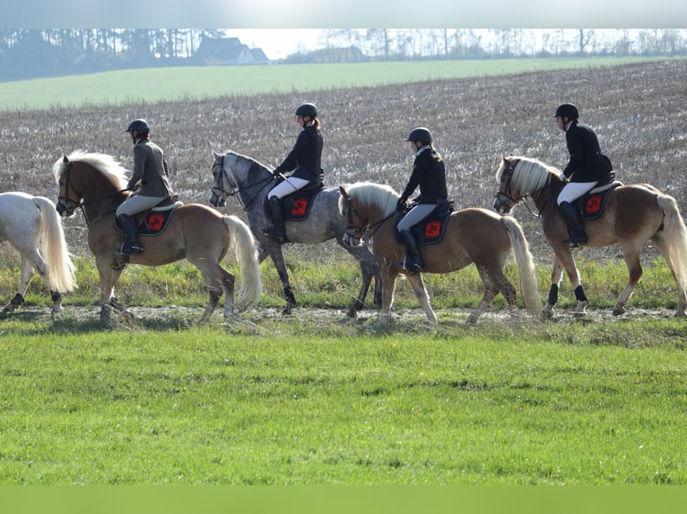 Macht Euch Fit für Jagd