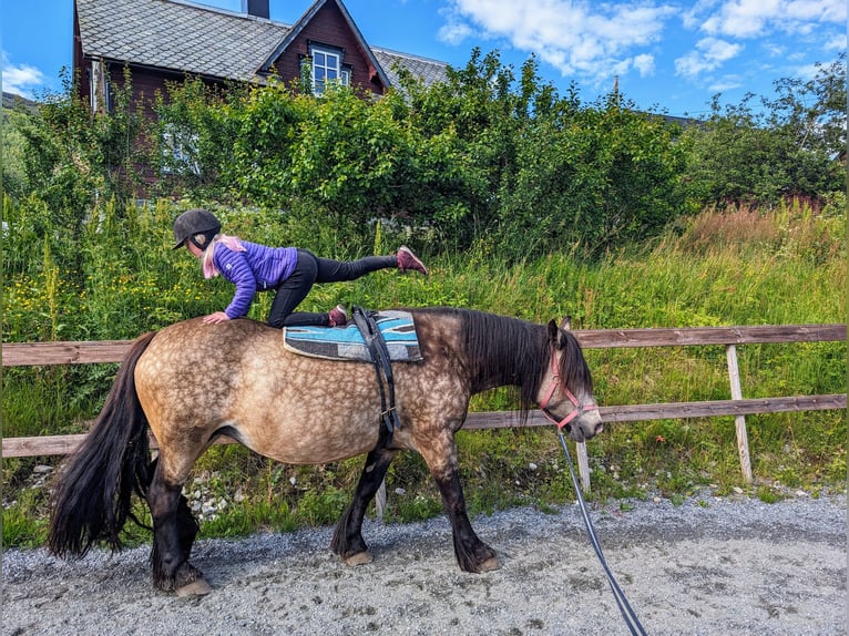 paardrijden in Noorwegen