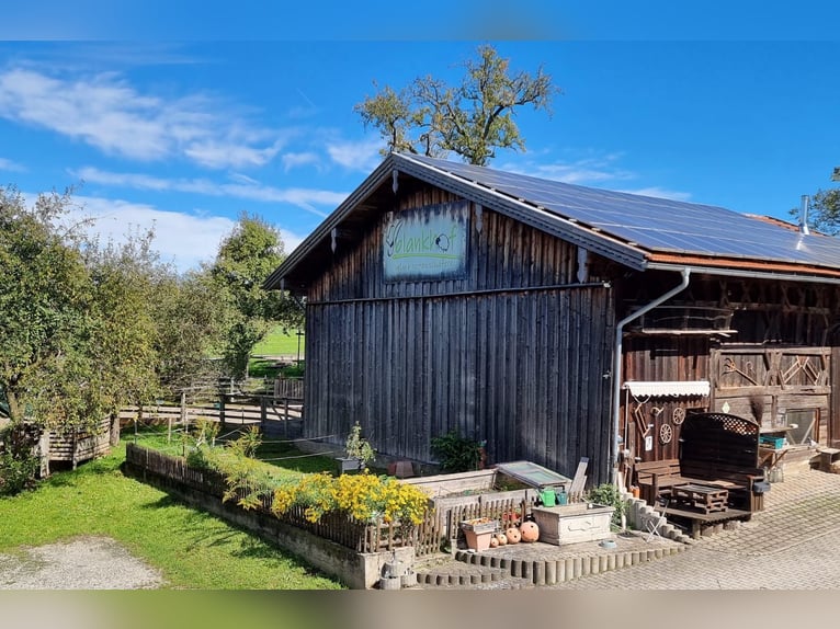 Urlaub mit Deinem eigenen Pferd