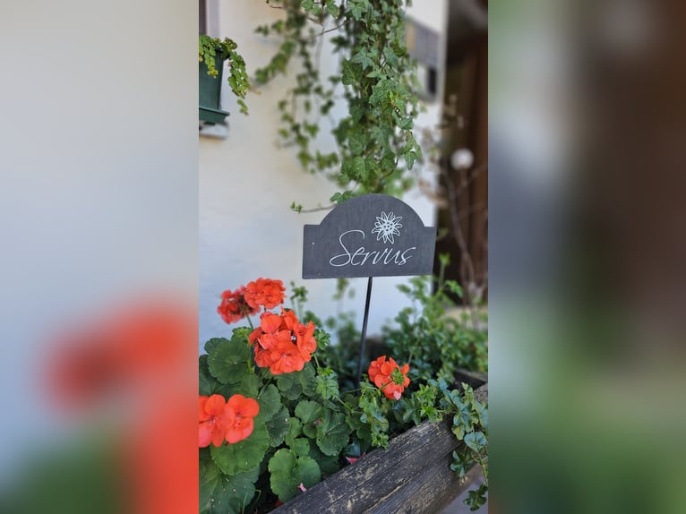 Urlaub mit Deinem eigenen Pferd