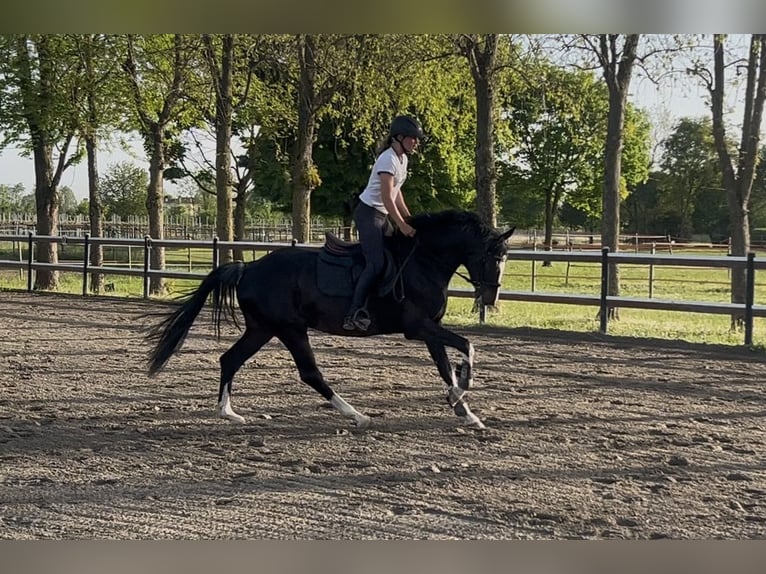 Vacanza a cavallo in Bella Italia🐴🇮🇹