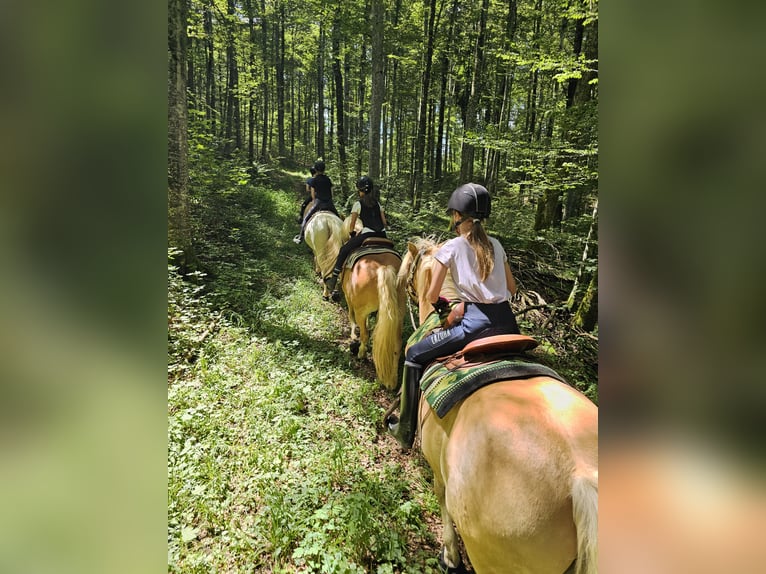🐣 LAST MINUTE: Il tuo proprio cavallo durante le vacanze di Pasqua! 🐴