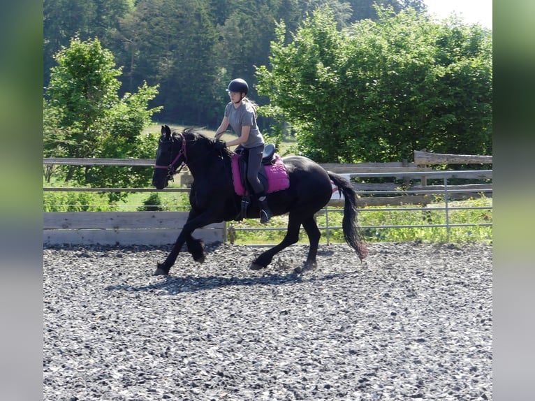 🐣 LAST MINUTE: Il tuo proprio cavallo durante le vacanze di Pasqua! 🐴