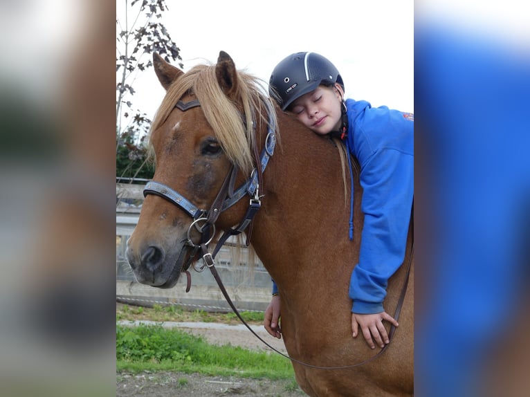 🐣 LAST MINUTE: Il tuo proprio cavallo durante le vacanze di Pasqua! 🐴