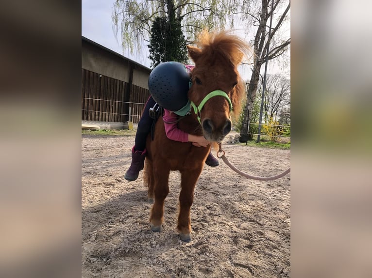 Reitferien für Kinder und Jugendliche