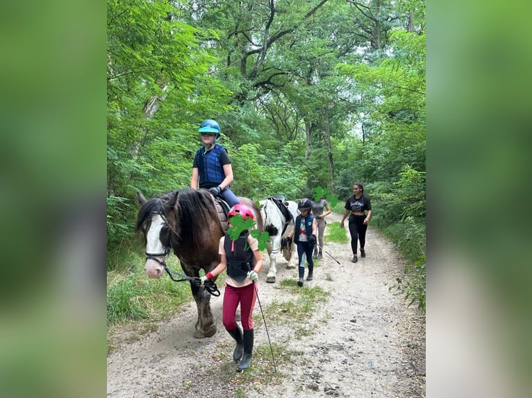 Vacanze equestre presso il maneggio 🐎