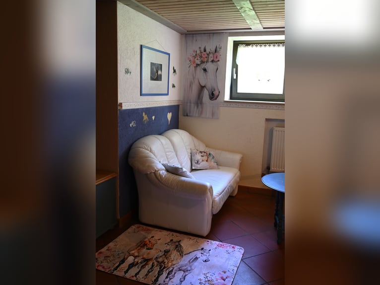 Vacanze indimenticabili a cavallo presso il centro di pony riding