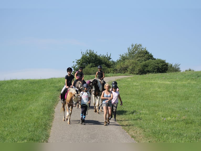 Vacanze indimenticabili a cavallo presso il centro di pony riding