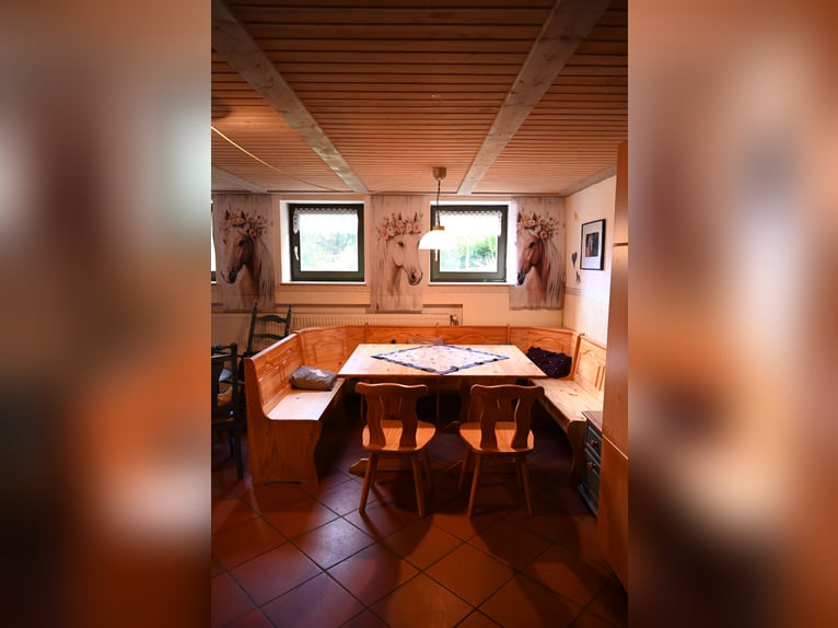 Vacanze indimenticabili a cavallo presso il centro di pony riding