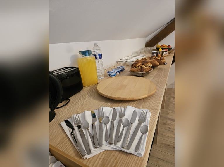 Escursione in famiglia nel cuore di un maneggio – natura, cavalli e benessere