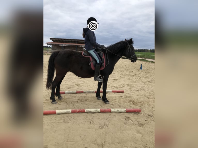 Reiterferien für Mädchen ab 10. Unsere Termine für 2026 sind online, wir freuen uns auf euch. 