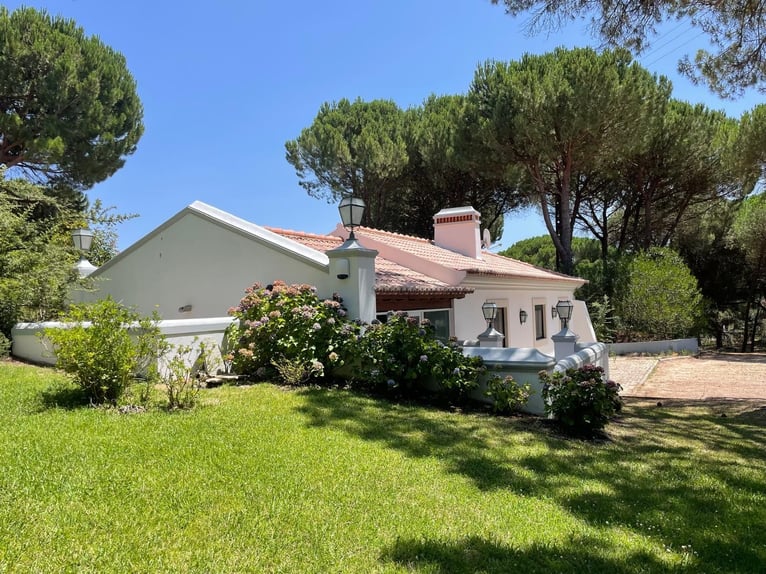 Reiterurlaub exklusiv auf unserem Lusitanogestüt 