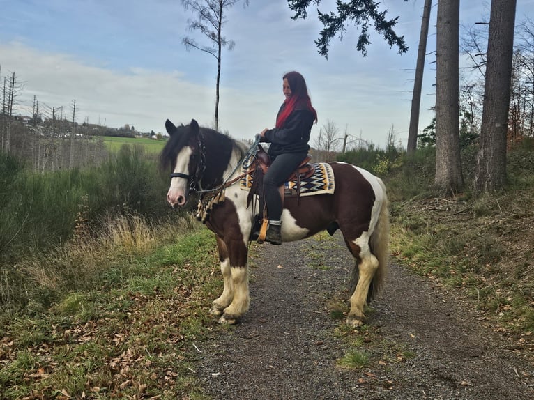 Pinto barroco Caballo castrado 9 años 150 cm Pío in Linkenbach