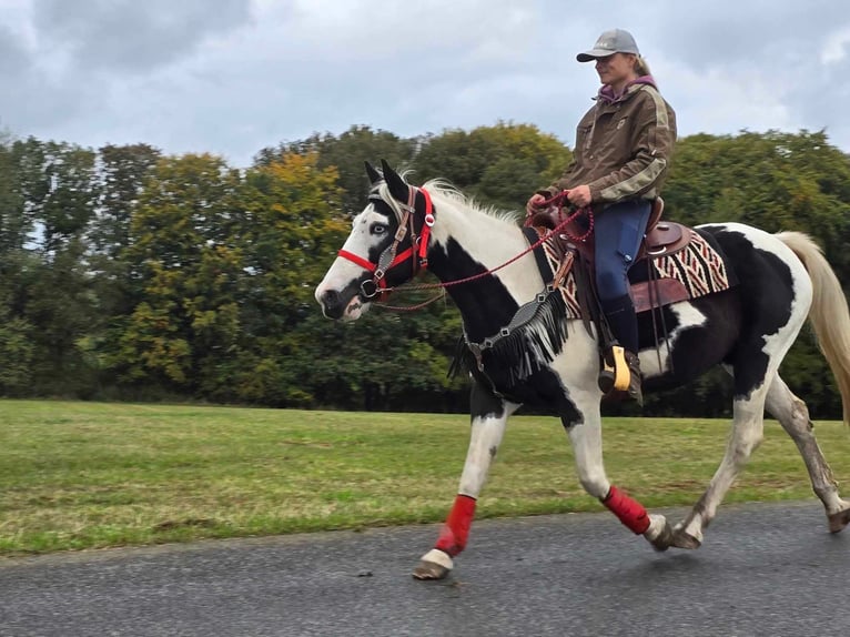 Pinto Horse Giumenta 16 Anni 148 cm Pezzato in Linkenbach