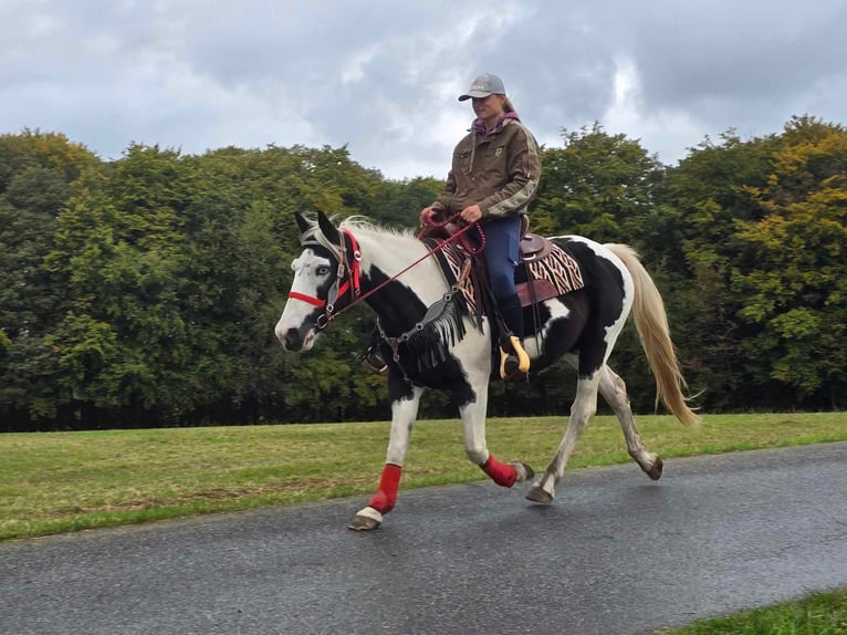 Pinto Horse Giumenta 16 Anni 148 cm Pezzato in Linkenbach