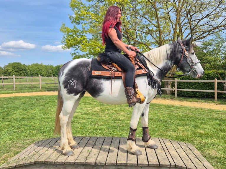 Pinto Horse Giumenta 4 Anni 154 cm  in Linkenbach