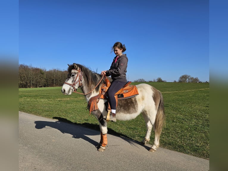 Pinto Horse Giumenta 6 Anni 136 cm Pezzato in Linkenbach