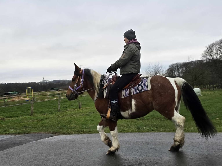 Pinto Horse Mix Giumenta 7 Anni 142 cm Pezzato in Linkenbach