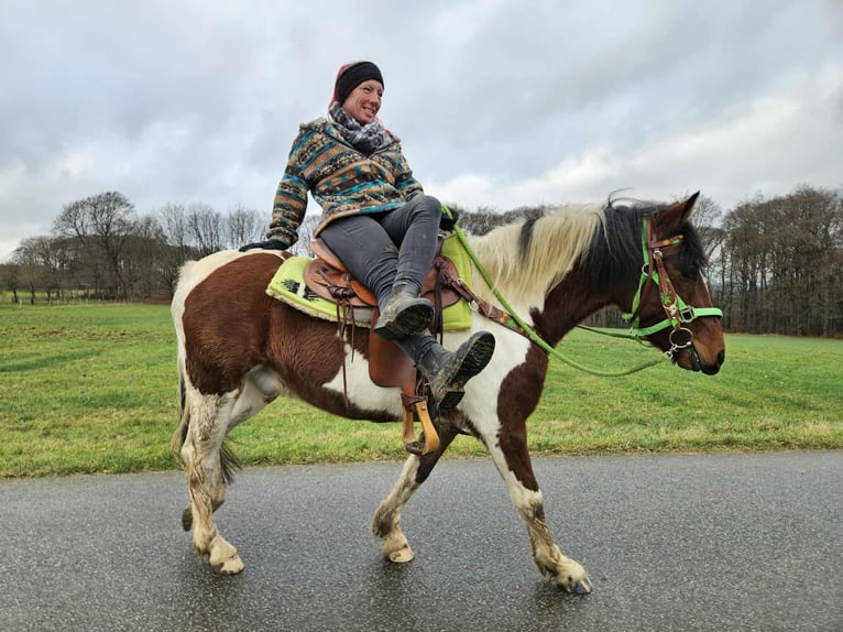 Pintos Caballo castrado 3 años 143 cm Pío in Linkenbach