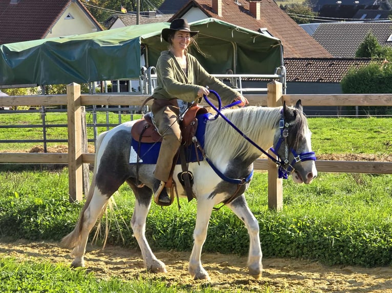 Pintos Caballo castrado 3 años 149 cm Pío in Linkenbach