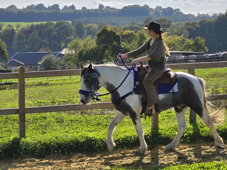 Pintos Caballo castrado 3 años 149 cm Pío in Linkenbach