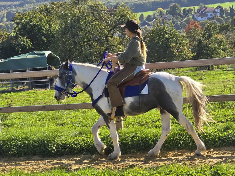 Pintos Caballo castrado 3 años 149 cm Pío in Linkenbach