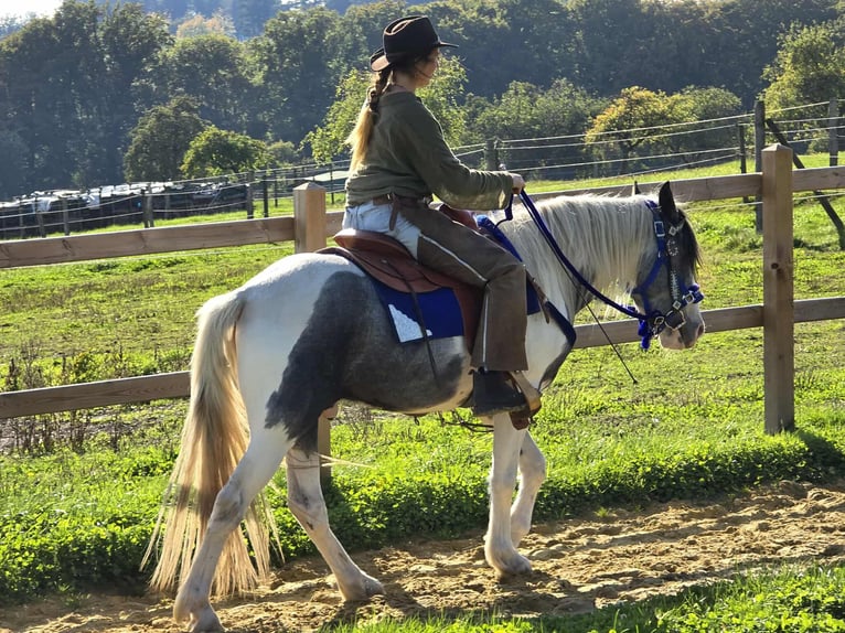 Pintos Caballo castrado 3 años 149 cm Pío in Linkenbach