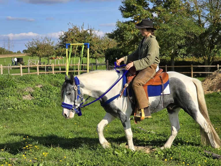 Pintos Caballo castrado 3 años 149 cm Pío in Linkenbach