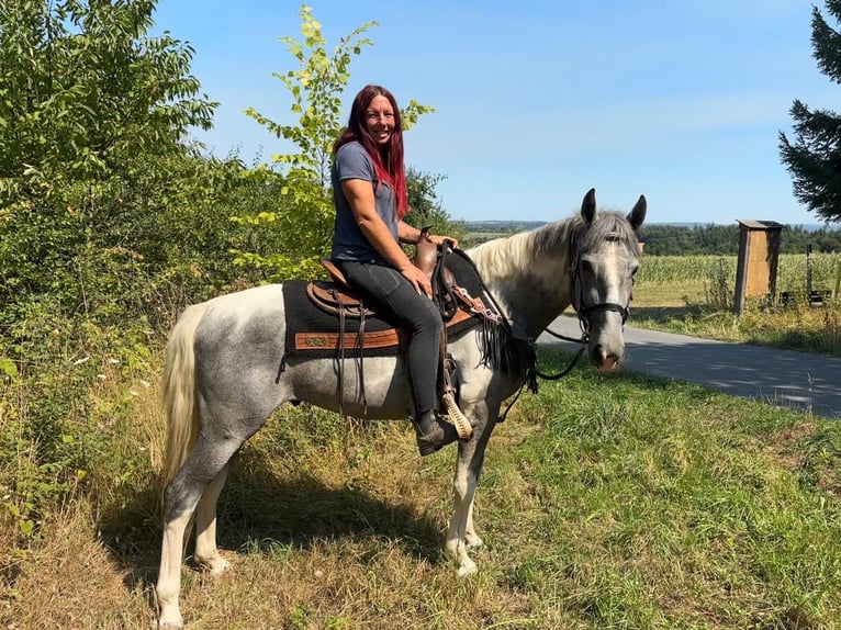 Pintos Caballo castrado 3 años 150 cm Pío in Linkenbach