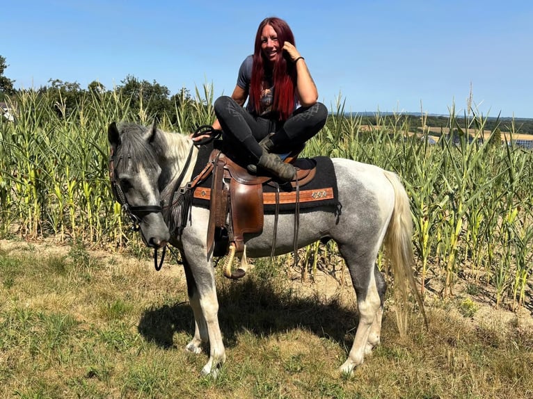 Pintos Caballo castrado 3 años 150 cm Pío in Linkenbach