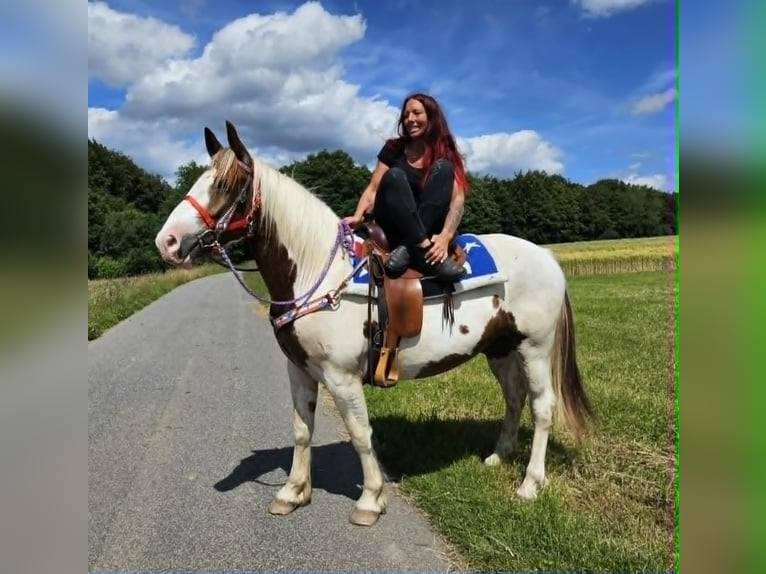 Pintos Caballo castrado 3 años 160 cm Pío in Linkenbach